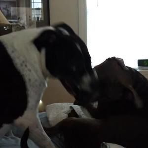 Meet your Posher, Stuart